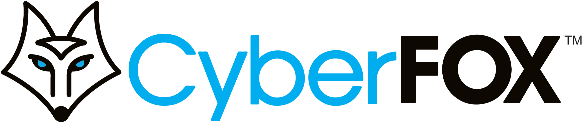 CyberFOX- LOGO-Horizontal-Blue (1)