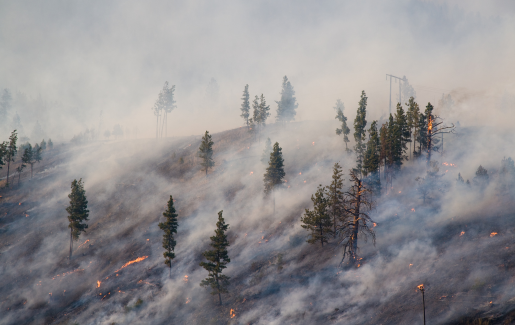 It's important for solution providers to take care of customers after a disaster--some will need more guidance, some will be patient--but all will turn to their trusted business and IT advisors to get them through the experience.