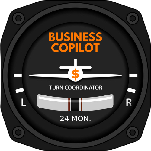 business copilot (1)