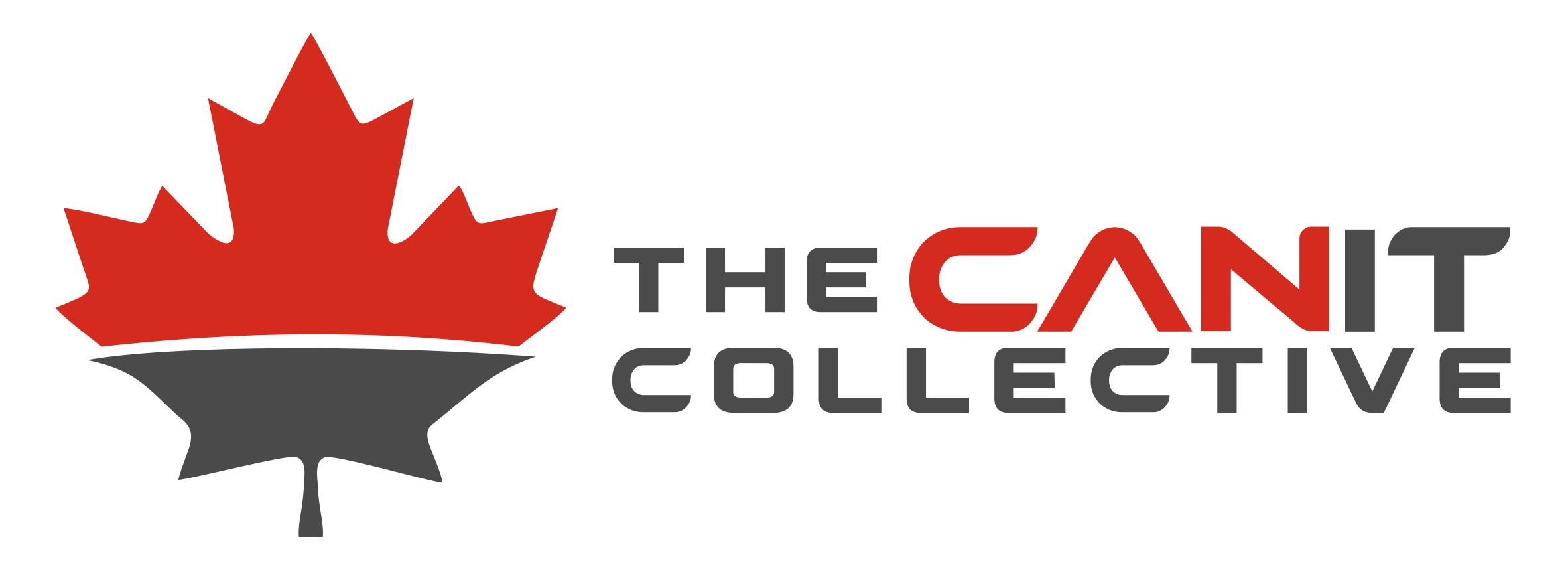 CanIT Colored Logo